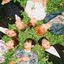 BTS em concept photo para "The Most Beautiful Moment In Life pt 1"